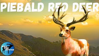 Piebald Red Deer On Te Awaroa Multiplayer TheHunter Call Of The Wild [upl. by Enellek325]