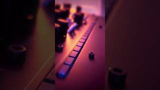 Korg Minilogue XD Live Performance 29 [upl. by Annawak]