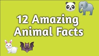 Amazing Facts About Animals SelfWritingWorld [upl. by Siriso]