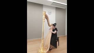 Wei JIANI harp Giovanni Battista Pescetti Sonata in c minor [upl. by Irak90]