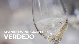 Spanish Wine Grapes Verdejo [upl. by Viviyan]