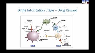 Neurobiology of Addiction by Dr Jayant Mahadevan [upl. by Eldwin]