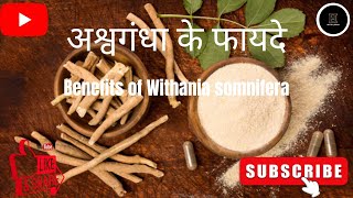 अश्वगंधा के फायदे। अश्वगंधा के क्याक्या फायदे हैं। Benefits of Withania Somnifera helthyjeevan [upl. by Valeta]