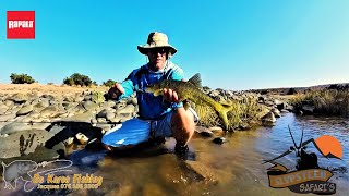 Smallmouth Yellows on the Orange River [upl. by Jamaal]