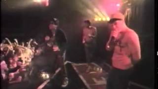 Beastie BoysRhymin amp Stealin Licensed To Ill Tour video [upl. by Rehpotsirahc]