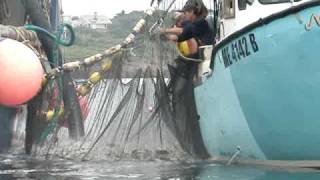 Menhaden harvest [upl. by Just]