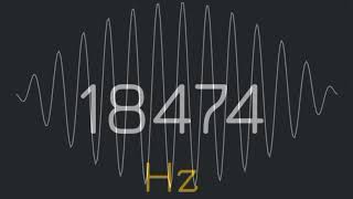 1Hz to 22000Hz frequency generator human audio spectrum suara pembersih speaker hp [upl. by Omsoc]