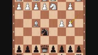 Chess Openings Budapest Gambit [upl. by Ethelstan]