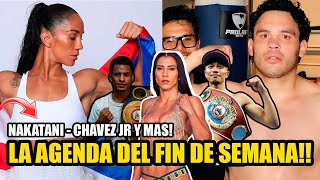 ¿Que hay de BOXEO este VIERNES y SABADO AMANDA SERRANO CAÑIZALES TITAN RODRIGUEZ y más [upl. by Erreip]