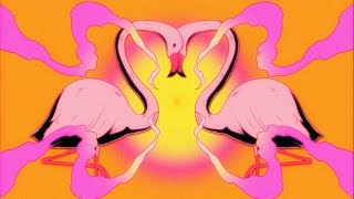 Flamingosis  Nebula Gazer Visualizer [upl. by Moffat962]