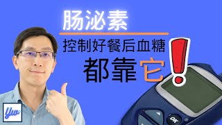 糖尿病病患与肠泌素。 [upl. by Auot271]