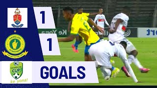 Amatuks vs Mamelodi Sundowns  Nedbank cup highlights  Goals [upl. by Nosiddam]