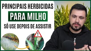 Principais herbicidas que podem ser utilizados na cultura do MILHO [upl. by Atnwahs960]