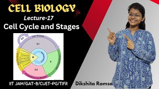 Cell Biology 17  Cell Cycle and Its Stages  IIT JAM Biotechnology [upl. by Maryellen]