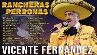 VICENTE FERNANDEZ MEJORES CANCIONES  VICENTE FERNANDEZ 20 GRANDES ÉXITOS MIX  A Mi Manera [upl. by Acirrej]