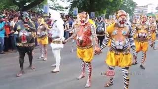 The Tiger Dance പുലിക്കളി kerala [upl. by Zeuqram]