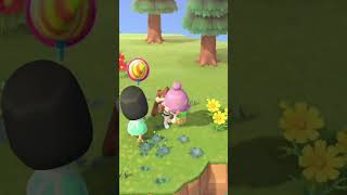 acnhfr acnh animalcrossingnewhorizons animalcrossing acnhdlc acnhupdate nintendoswitch vlog [upl. by Ahsar]