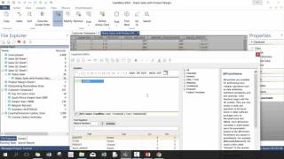 Introduction to IDEA V10  Lesson 06 Creating Modifying and Removing Fields [upl. by Keeler456]