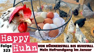 Von Hühnerstall bis Kuhstall Mein Hofrundgang mitten im Winter mit allen Tieren HAPPY HUHN E323 [upl. by Hilleary]