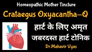 Crataegus OxyacanthaQ  Homeopathic Mother Tincture  DrMahavir Vyas [upl. by Netaf]