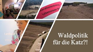 Waldpolitik  Haltet uns nicht zum Narren  Reaktion [upl. by Aryamo292]