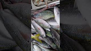 FISH MARKET IN RAS AL KHAIMAH fishing hunting shortsviral [upl. by Leroj]