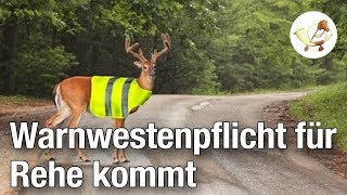 Warnwestenpflicht für Rehe kommt Postillon24 [upl. by Eecyak]