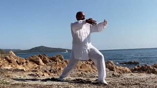 Taiji Qigong Shibashi Set 1 [upl. by Aydidey529]