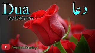 Happy Birthday Wishes Poetry  Best Wishes  Birthday Dua WhatsApp Status  Dua Shayari [upl. by Ehttam737]