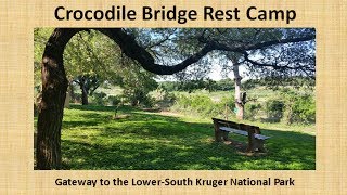 Crocodile Bridge Rest Camp Kruger National Park South Africa [upl. by Araeit]