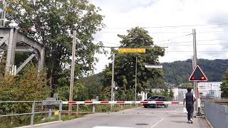 Spoorwegovergang Thun CH  Bahnübergang  Railroad Crossing [upl. by Dorrie634]