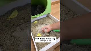 Cat litter china supplier Mineral cat litter wholesale Cat litter factory price cat petcare [upl. by Nial]