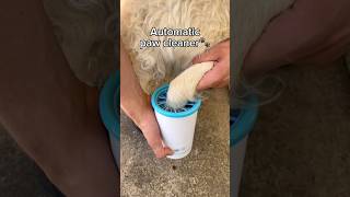 Automatic dog paw cleaner😍 [upl. by Anitirhc]