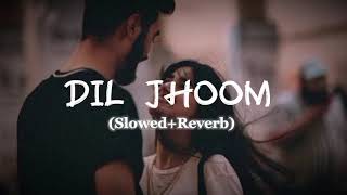 Dil jhoom jhoom  Trans song  viral vido  Instagram trand song viral slowedandreverb  trand [upl. by Lupe648]