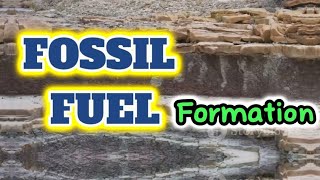 How Fossil Fuels are Formed [upl. by Haley775]