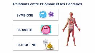 Le microbiote intestinal au service de notre santé [upl. by Jaan415]