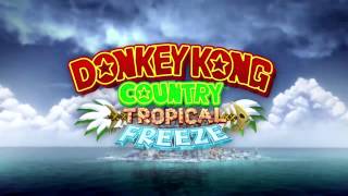 Level 46 Current Capers  Donkey Kong Country Tropical Freeze  Music [upl. by Hadria]