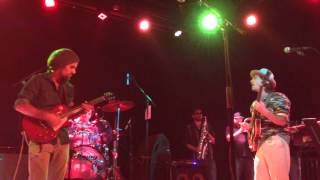 10 Ft Ganja Plant Live Performing quotBurning Jamesquot off Bass Chalice [upl. by Malka456]