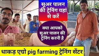 सूअर पालन की ट्रेनिंग कहां से करेंPig Farming Training Center Full details  agritech guruji [upl. by Otilesoj]