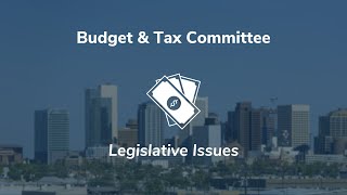 2024 Budget amp Tax Committee Legislative Issues [upl. by Primaveria]