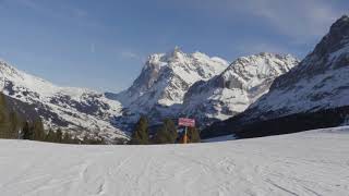 Ski Grindelwald [upl. by Svetlana]