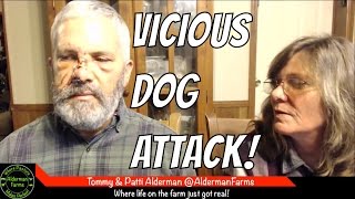 AldermanFarms LIVE  When Dogs Attack [upl. by Nerrag]