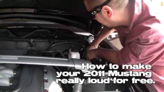 How To Make Your 2011 Mustang Really Loud For Free [upl. by Schweitzer]