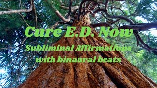 Cure Erectile Dysfunction Now subliminal affirmations wbinaural beats amp 432 Hz for positive vibes [upl. by Ardena]