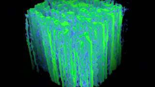 Density Field Model for Lignocellulose Mesostructure [upl. by Moraj]