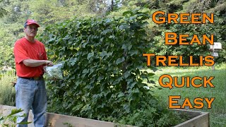 Easy garden vegetable support Green Bean Trellis Easy and Quick [upl. by Gary]