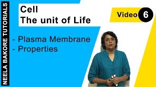 Cell  The unit of Life  NEET  Plasma Membrane  Properties  Neela Bakore Tutorials [upl. by Attiuqram]