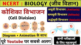 Meiosis I Part 1  Cell Cycle and Cell Division  Class 11 Biology Chapter 10  CBSE 202425 [upl. by Janina]