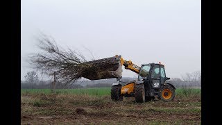 Likwidacja sadu MEGA akcja JCB w akcji [upl. by Harbert]