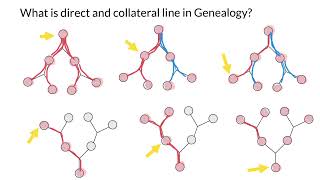 Genealogy What is Direct and Collateral lines [upl. by Nnylyt]